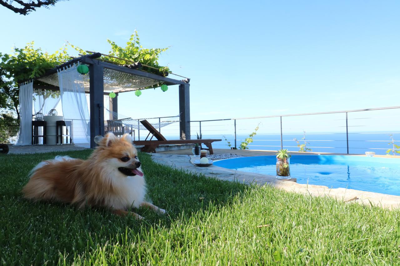 Fakistra'S Blue House Villa Tsagarada Exterior photo